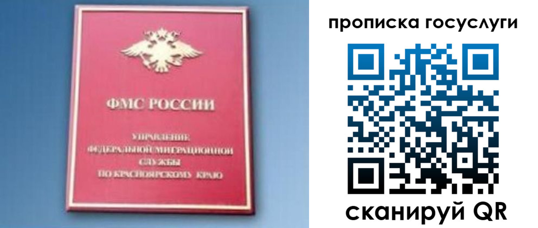 временная регистрация для школы в Кингисеппе